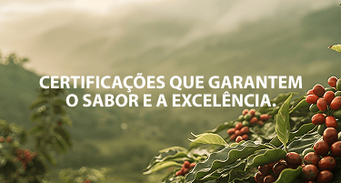 Banner Black Friday